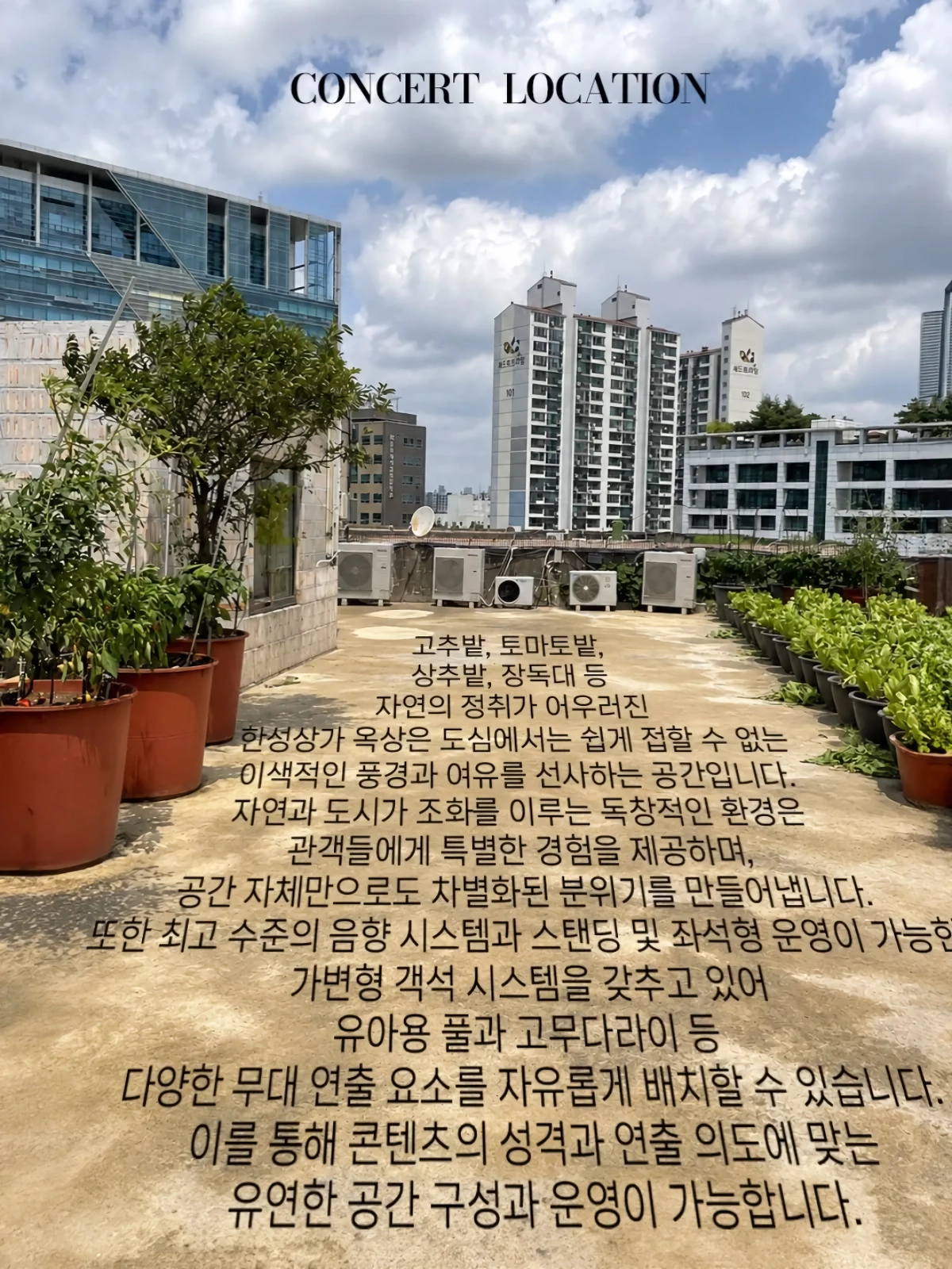 유세윤, ”코노” 이어 이번엔 루프탑 콘서트…””””흠뻑쇼 1/1000배 급수예상””””
