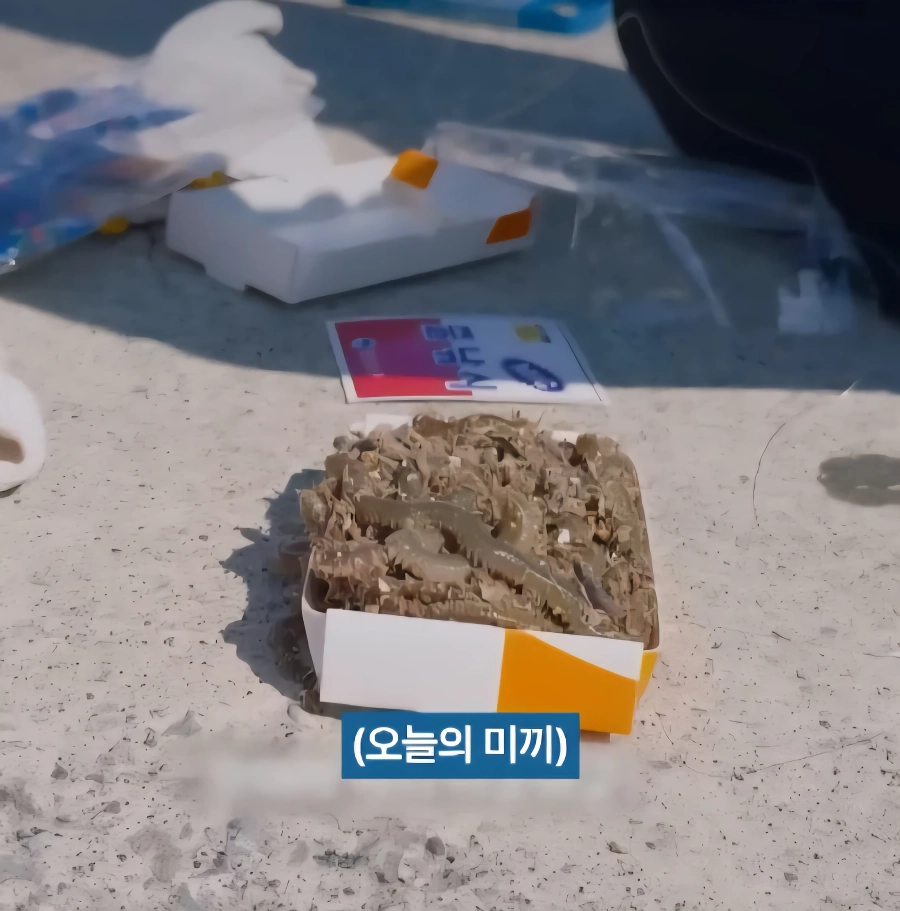 거제소녀가 컨셉이 아니라 찐이라고 느낀순간