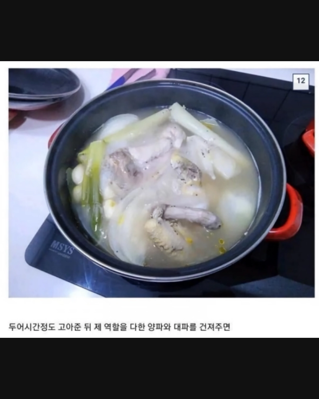 모자이크주의)로드킬 당한 꿩