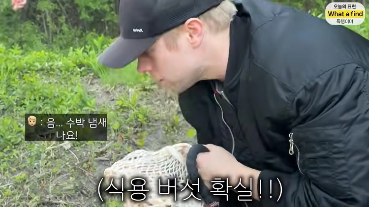 올리버샘네 진도개들 근황 jpg