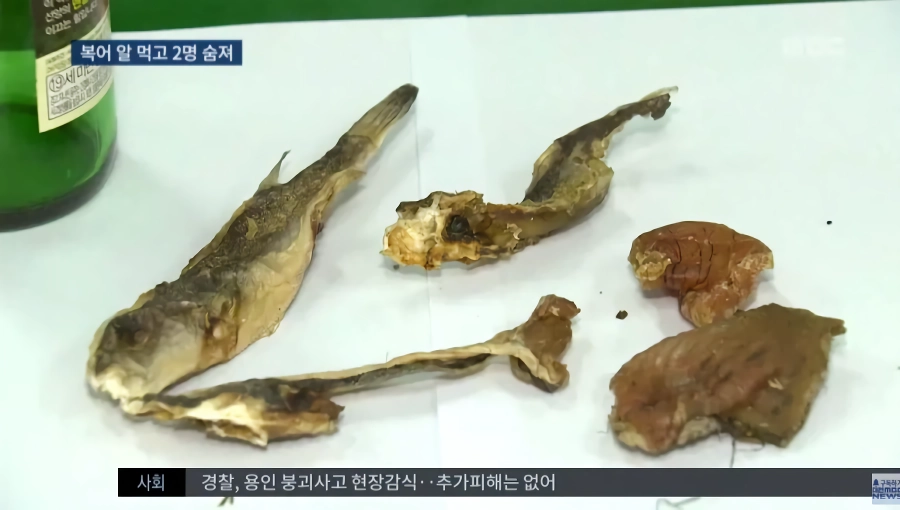 말린 복어알 훔쳐먹기