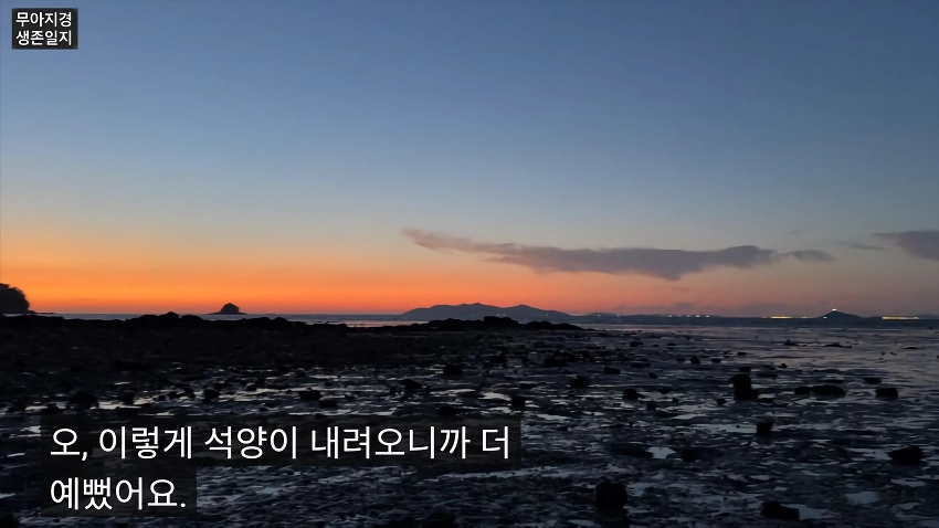 약후] 갯벌에서 식자재 해결하는 여자.jpg