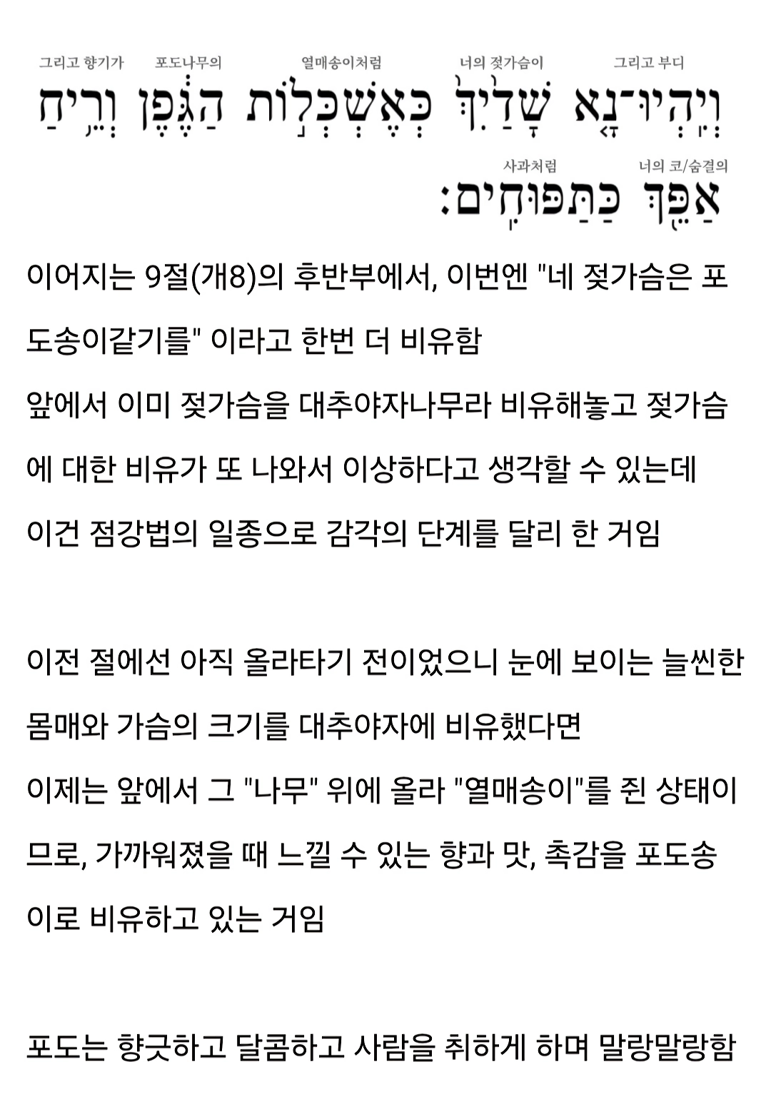 지혜의 왕 솔로몬 여성 취향