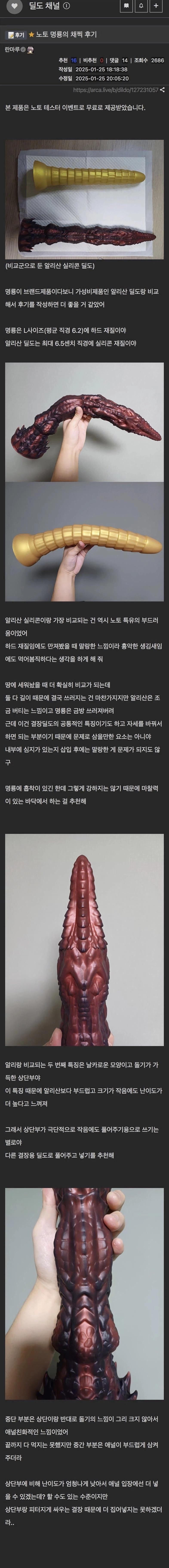 딜도 후기