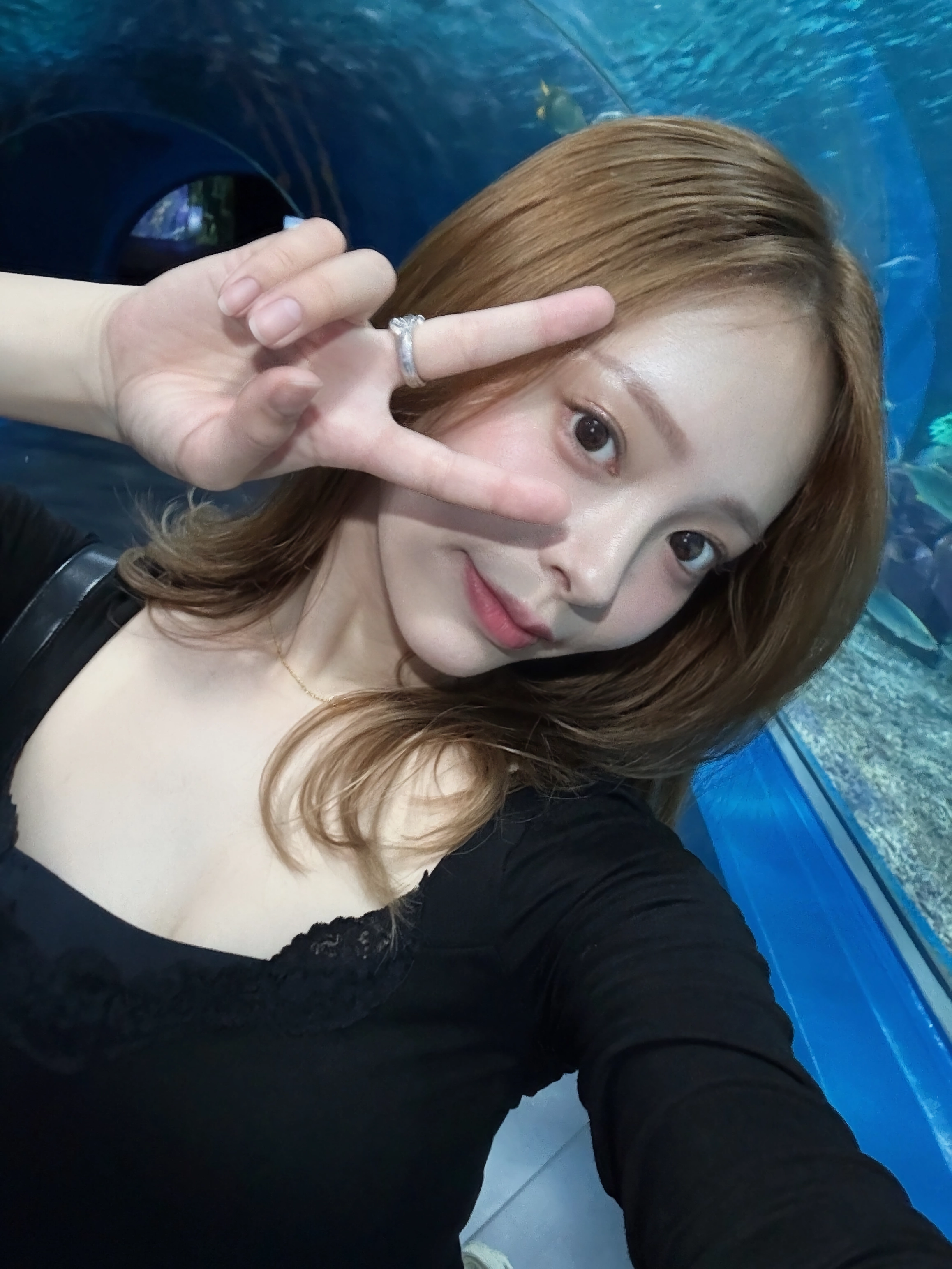 스시국 유나