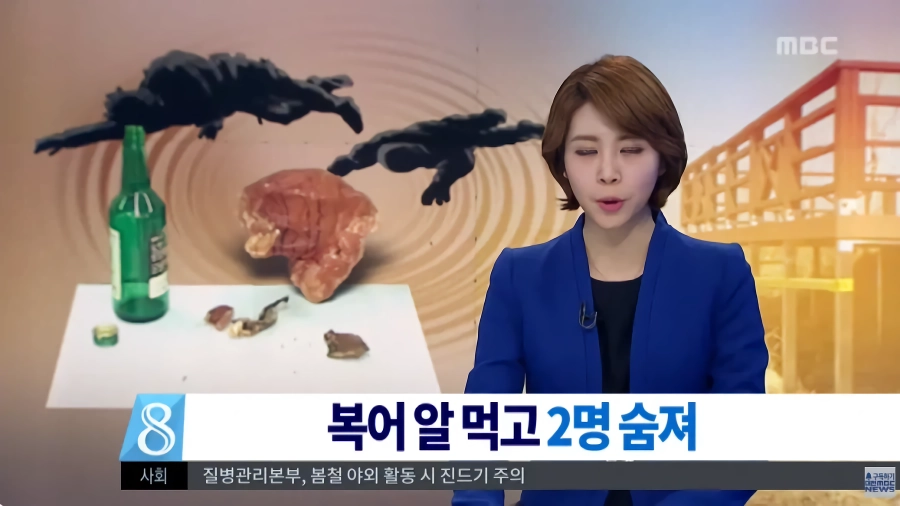 말린 복어알 훔쳐먹기