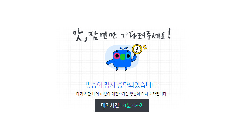 인도에서 야한복장으로 여행한 여BJ들.jpg
