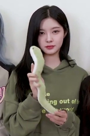 케플러-다연