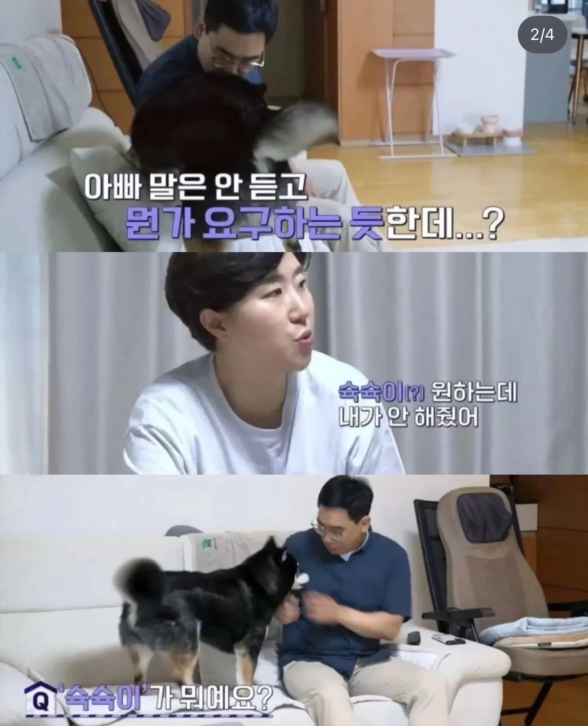 강아지 대딸 쳐주는 가족.jpg
