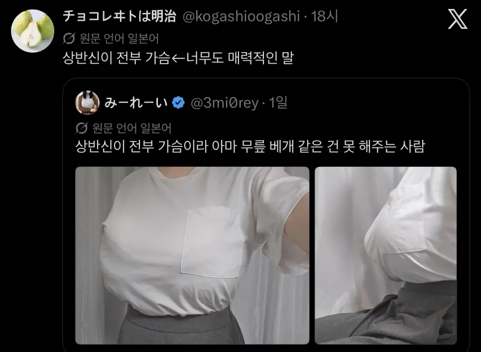 ㅇㅎ?) 상반신이 전부 가슴이라