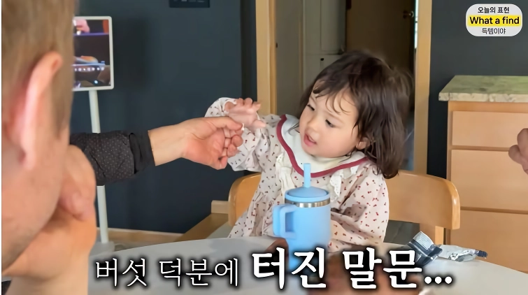 올리버샘네 진도개들 근황 jpg