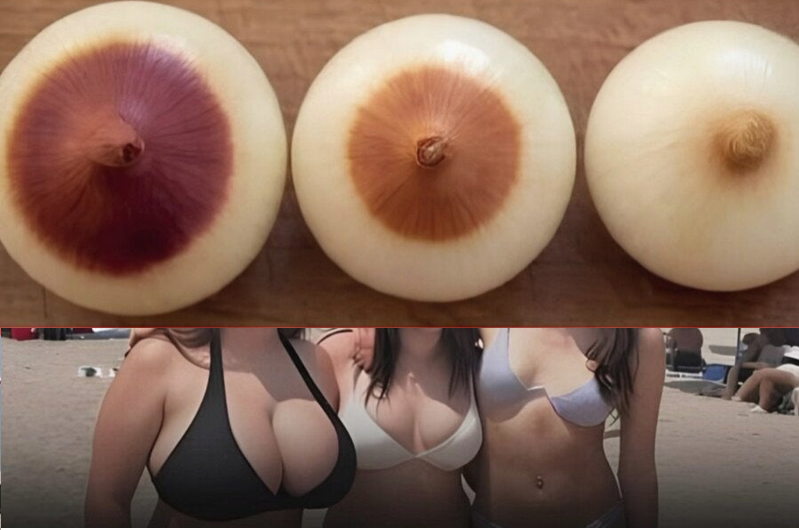 확률적으로 슴크기에 따라 달라지는것
