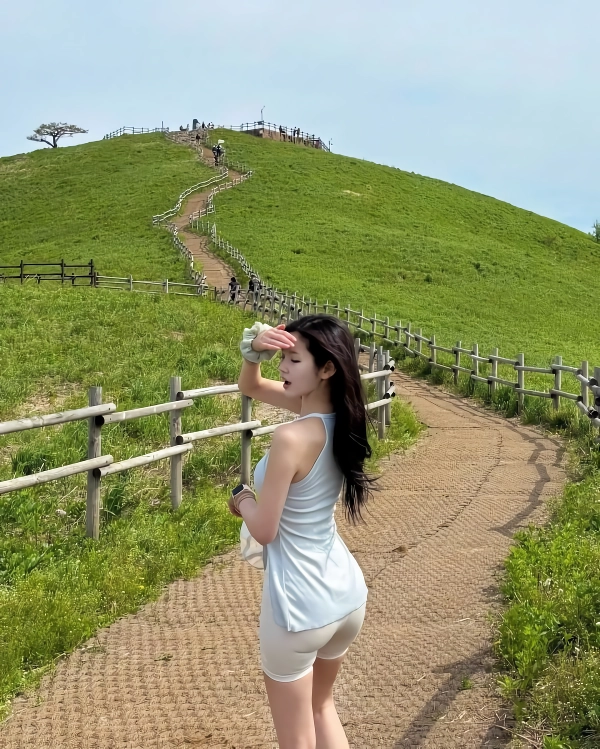 등산 갈래