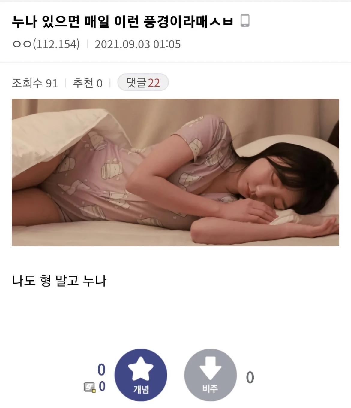디시인의 친누나 환상