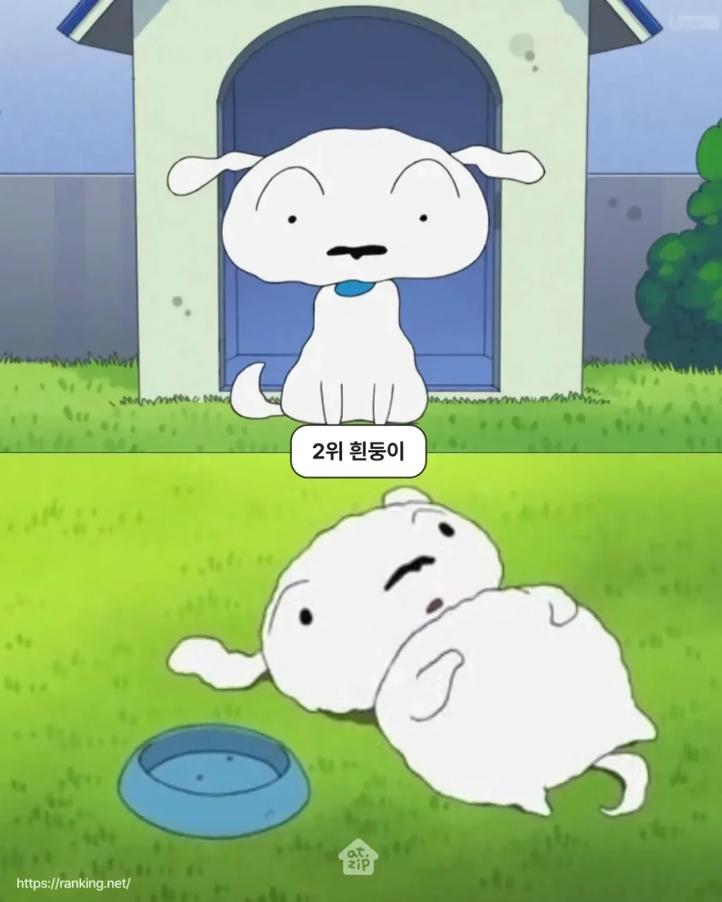 일본인들이 뽑은 짱구 캐릭터 인기투표 순위 TOP 10