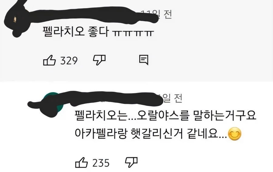ㅍㄹ치오 좋다ㅠㅠㅠㅠ