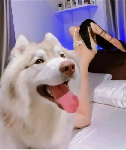 ㅇㅎ) 노출하는 눈나와 철벽수비