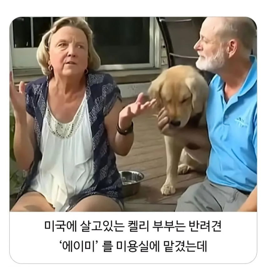 미용실 다녀온 후 예민해진 찹츄