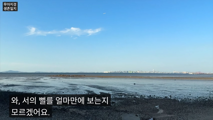 약후] 갯벌에서 식자재 해결하는 여자.jpg