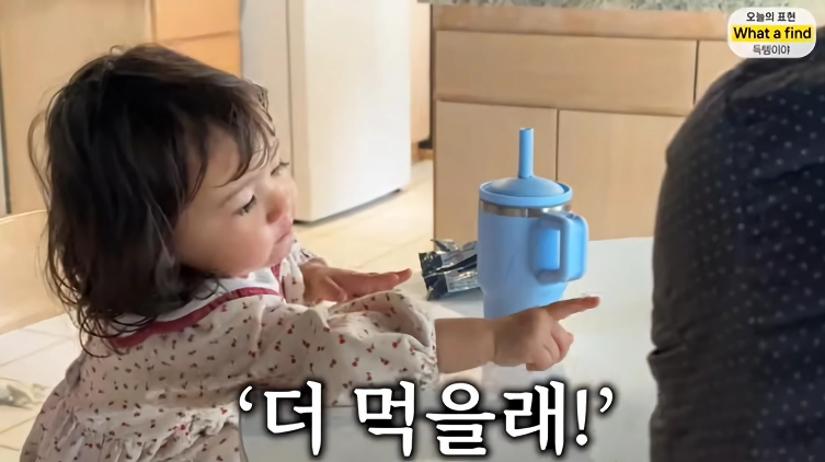 올리버샘네 진도개들 근황 jpg