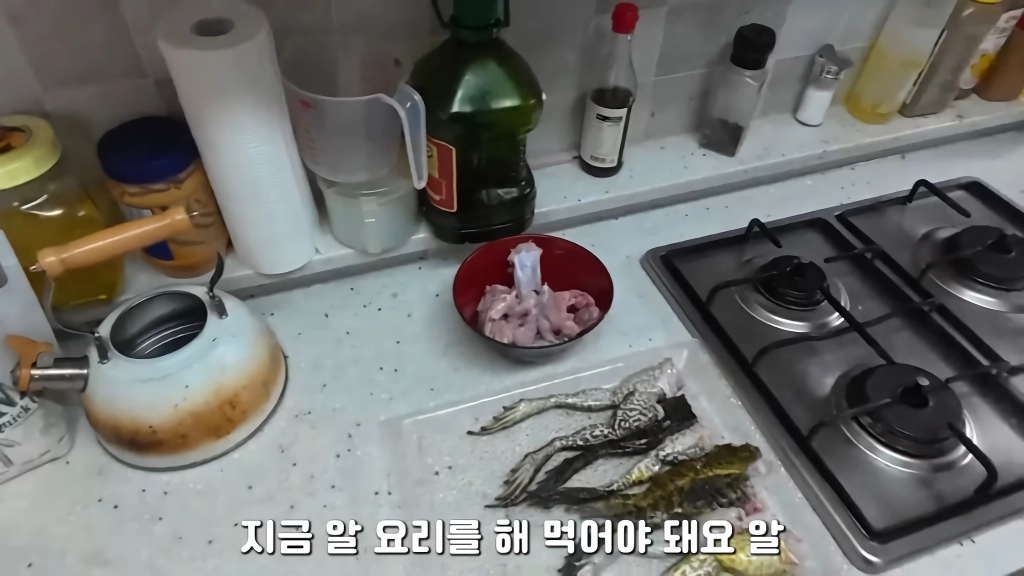 황소개구리 잡아다가 튀겨먹기(12)
