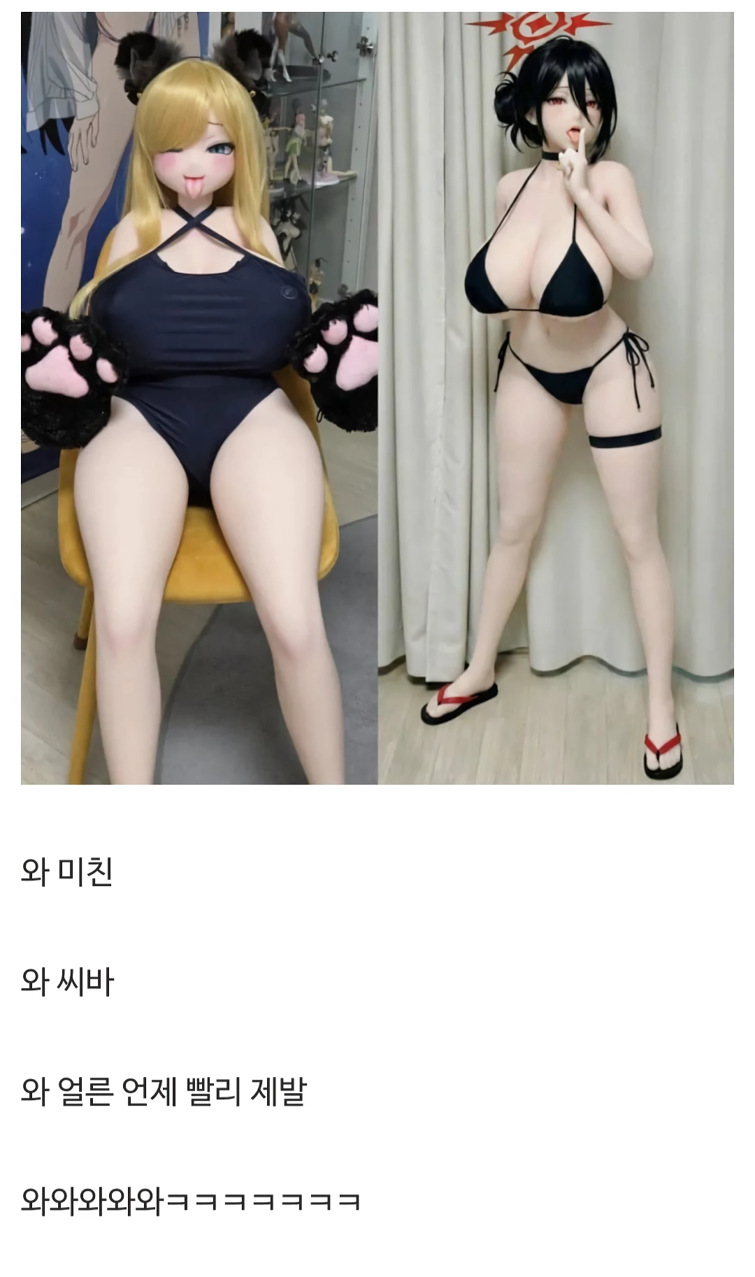 ㅇㅎ) 토이토이 집에 사람 모양 피규어를 두면 안 되는 이유와 디시인들 반응