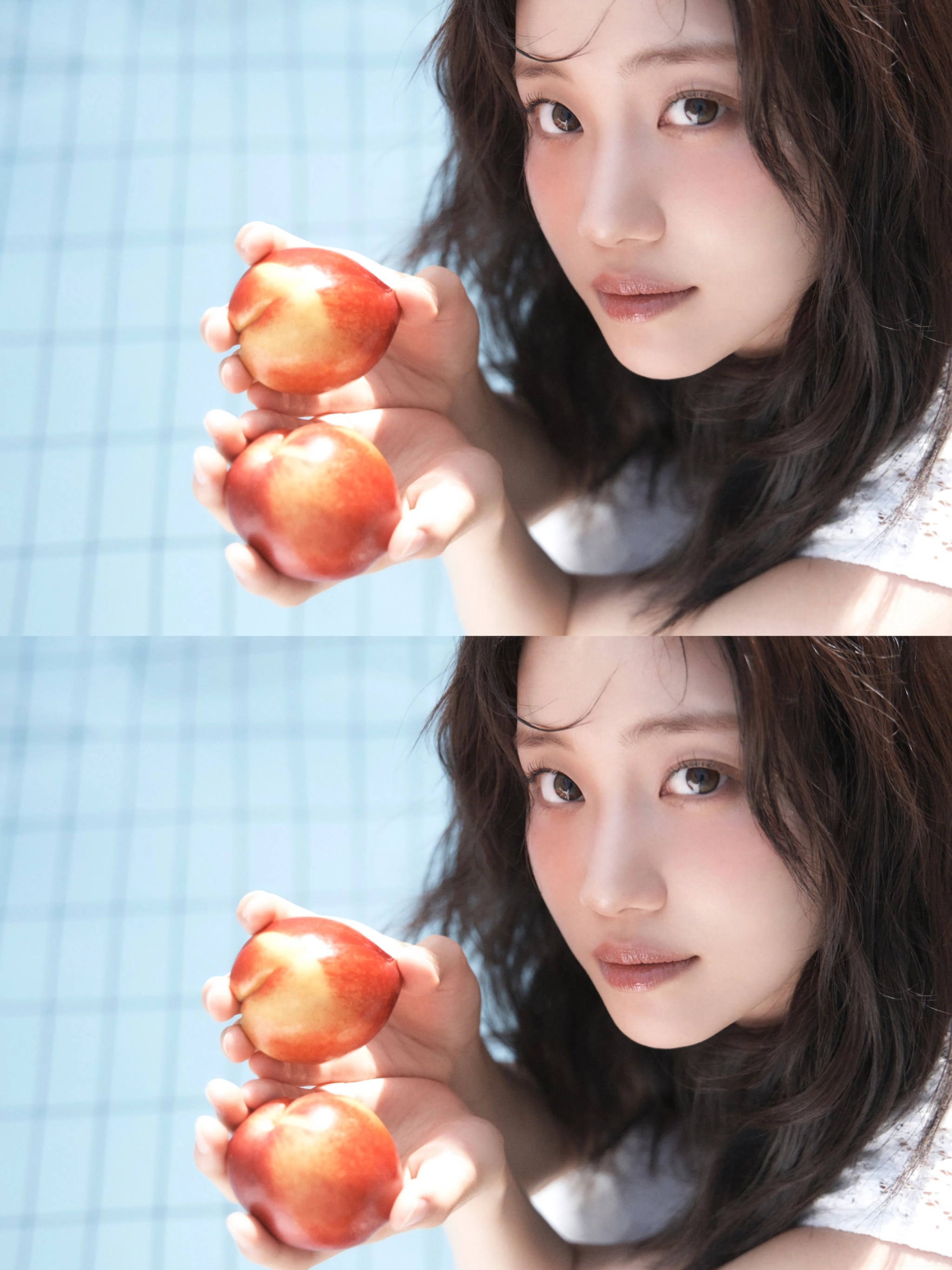 홍화연