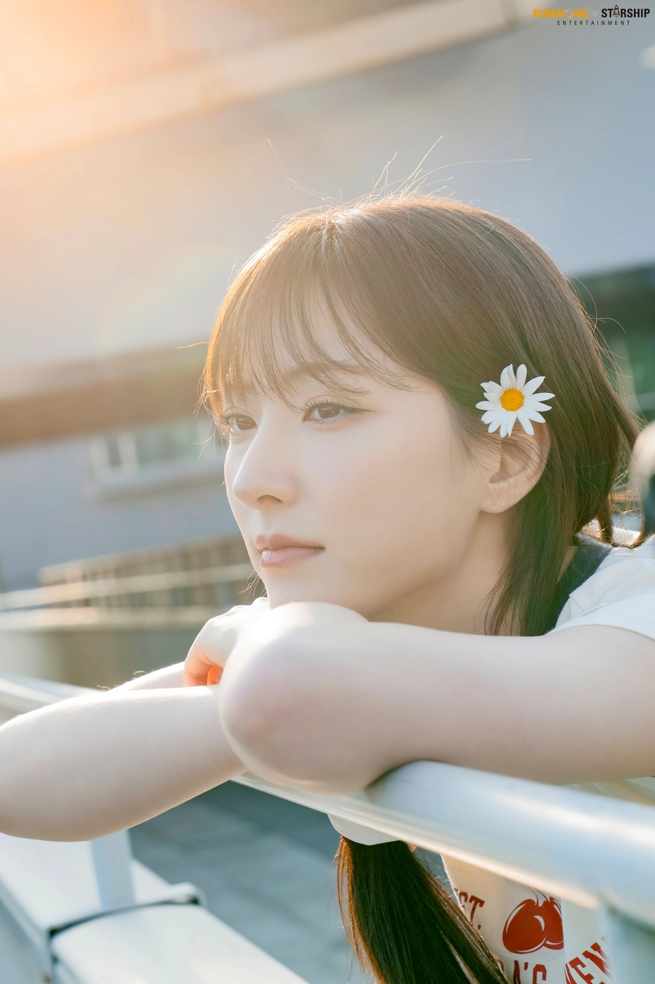 손주연
