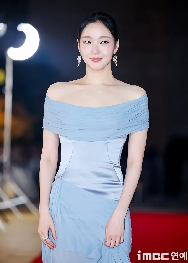 청룡시리즈 어워즈 레드카펫 드레스