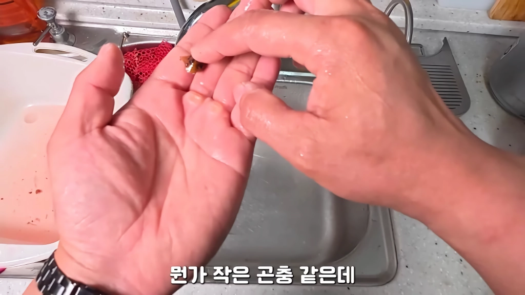 황소개구리 잡아다가 튀겨먹기(12)