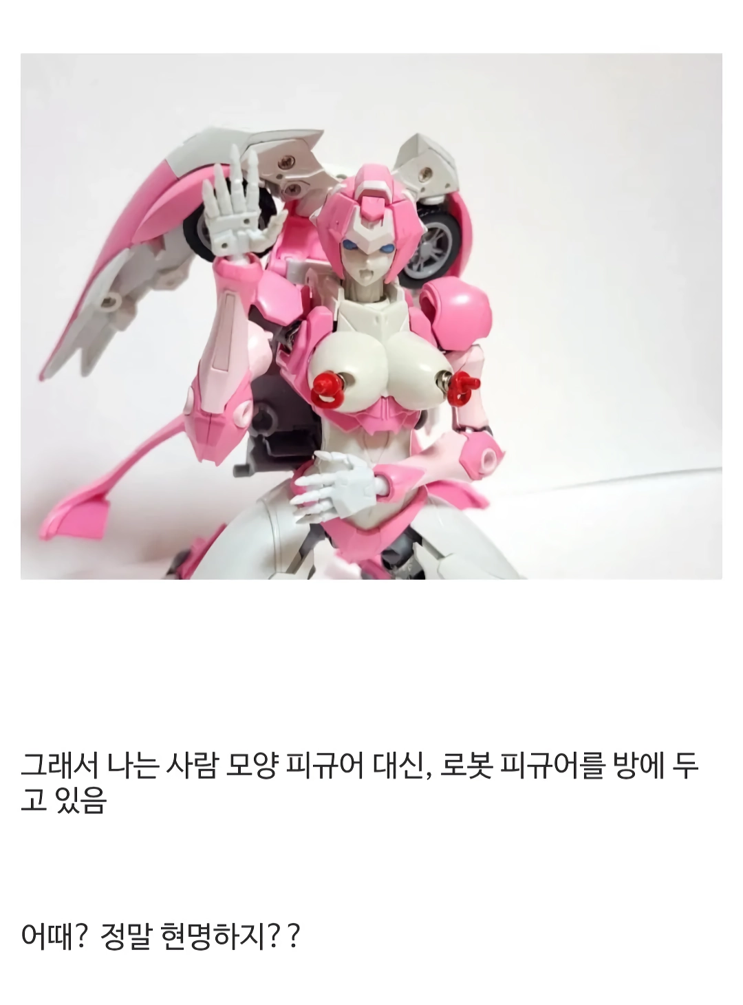 ㅇㅎ) 토이토이 집에 사람 모양 피규어를 두면 안 되는 이유와 디시인들 반응