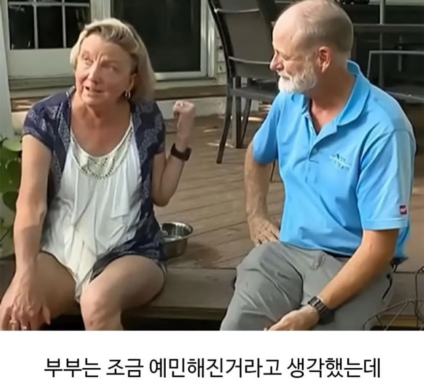 미용실 다녀온 후 예민해진 찹츄