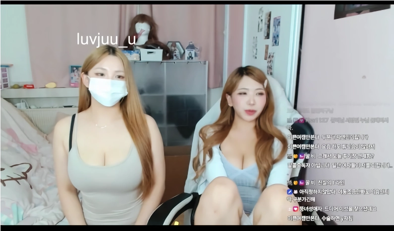 트위치 H컵과 G컵