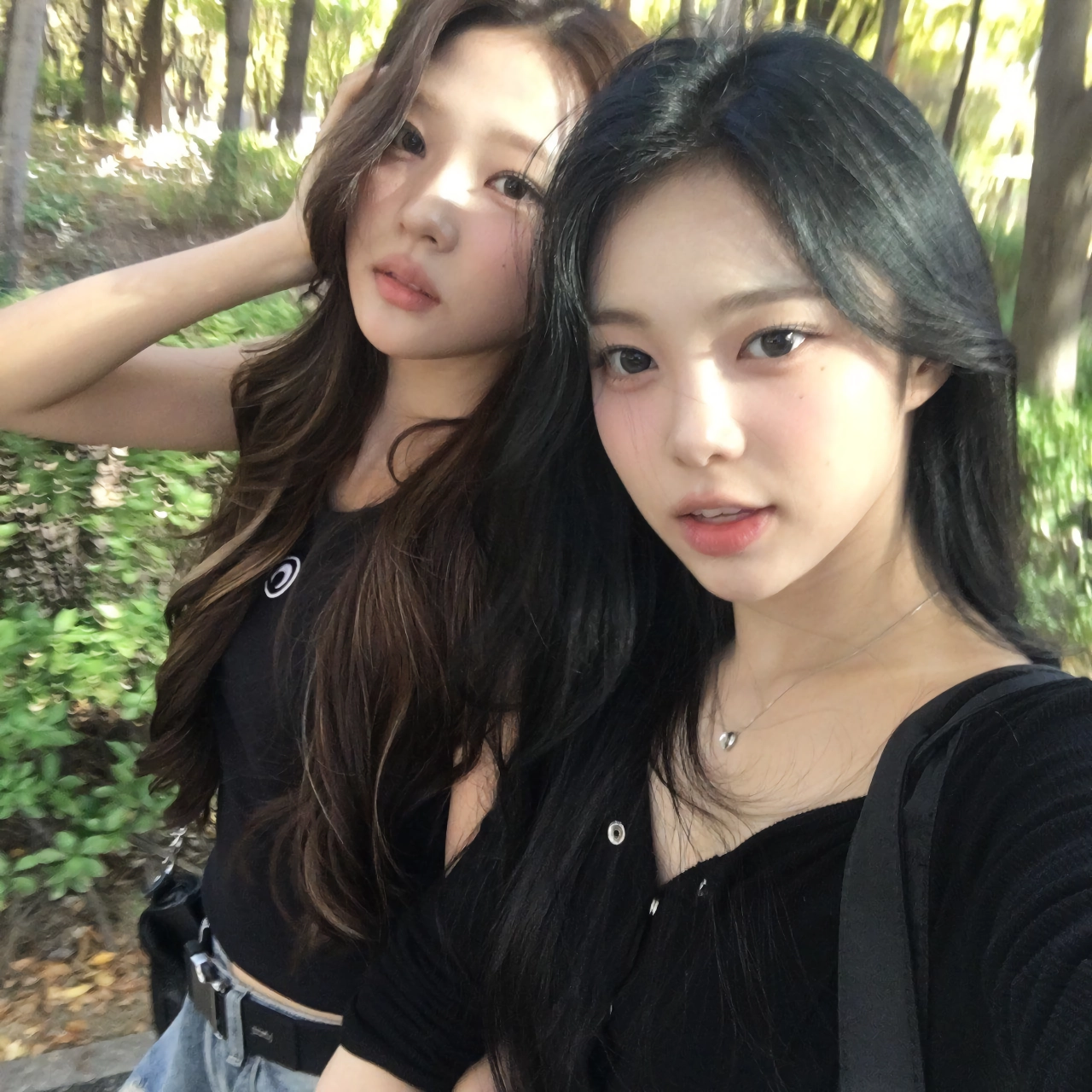 하츠투하츠 스텔라 생일