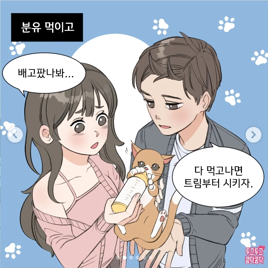 커플이 새끼고양이 키우는만화