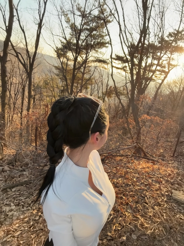 등산 갈래