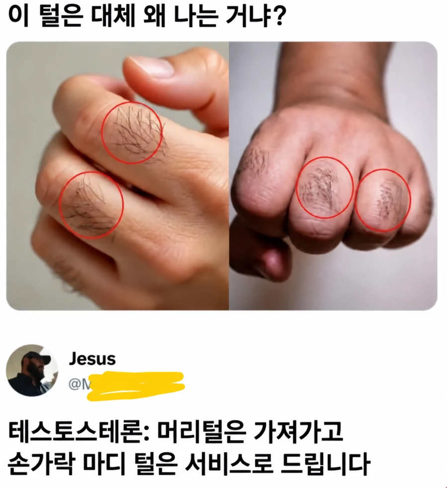 해외 밈 몇 개
