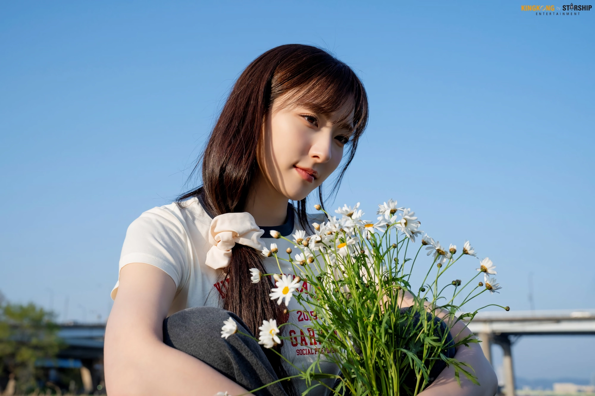 손주연