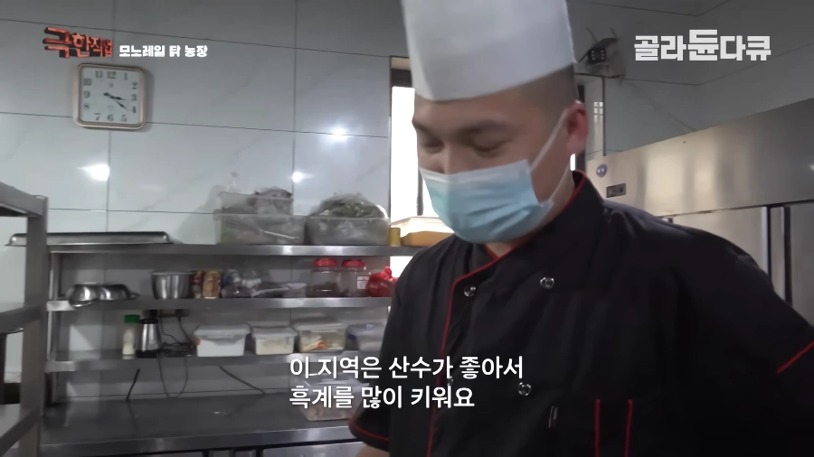 완전 동물복지 중국 닭 사육장