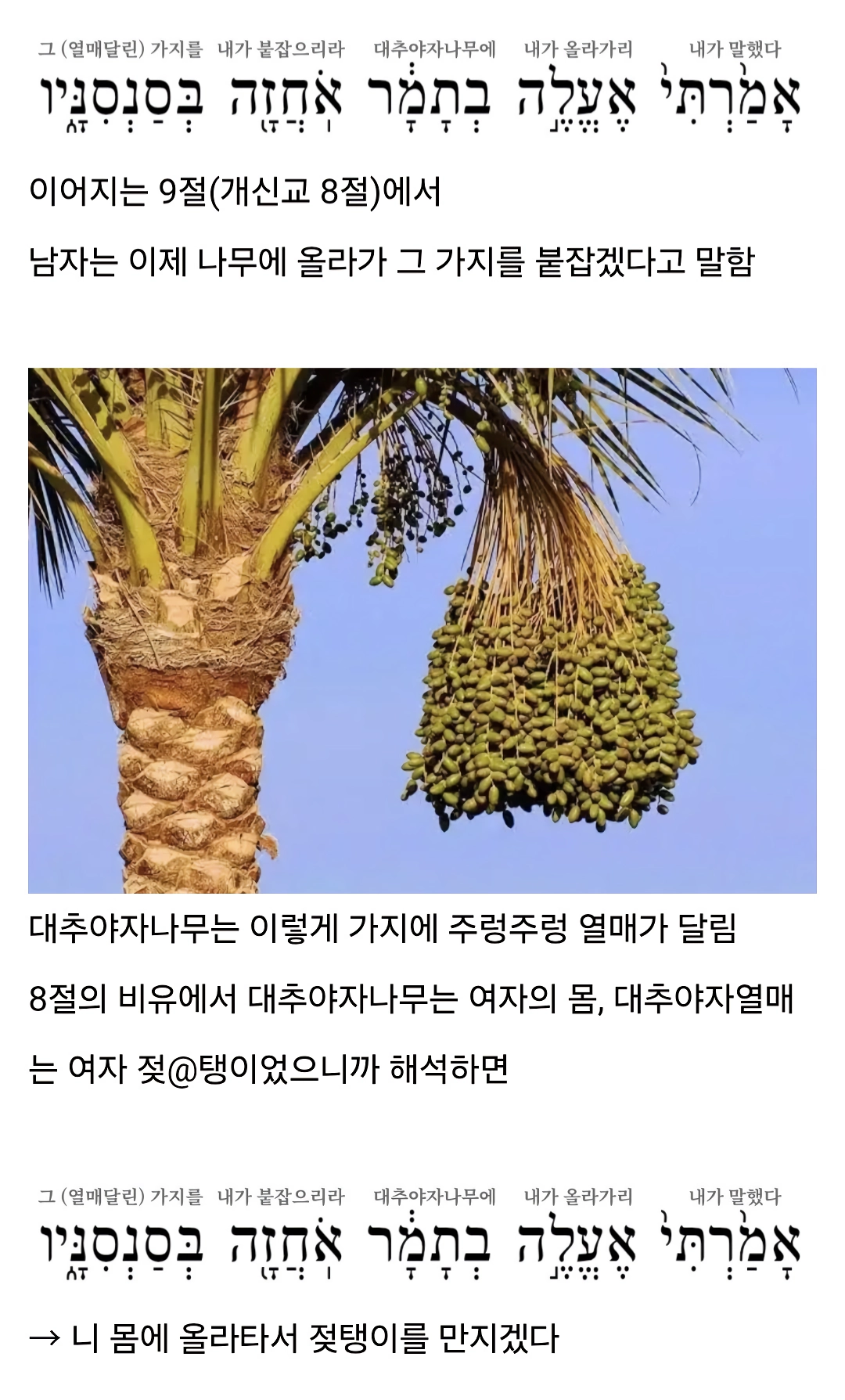 지혜의 왕 솔로몬 여성 취향