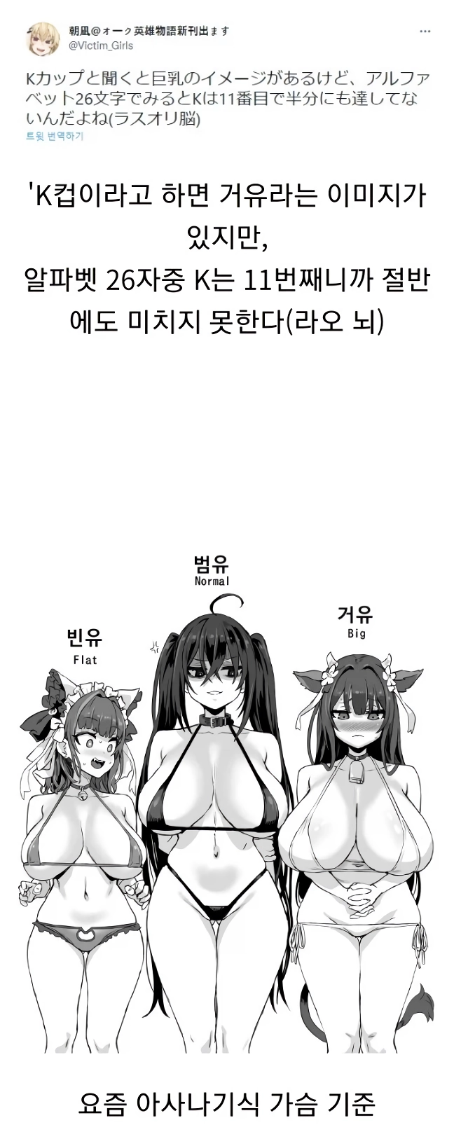 어느 작가의 가슴 크기 기준