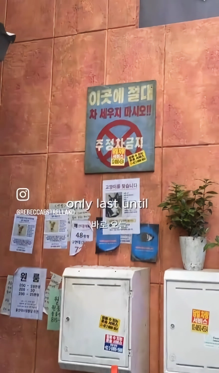영국 금발 백인 여신과 함께 런던 콜옵 한국거리 팝업가보기.