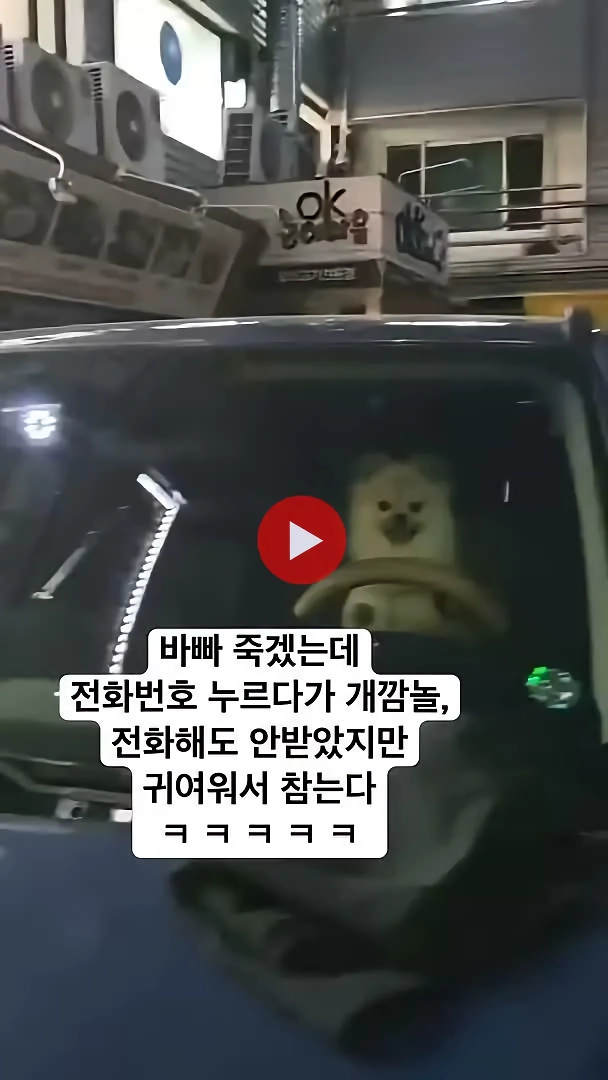 (SOUND)아니 차 좀 빼주세요 사장님 주차를 개같이 하셨잖아요.mp4