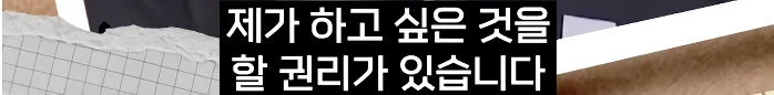 이스라엘 나포된 구호단체 한국인의 정체