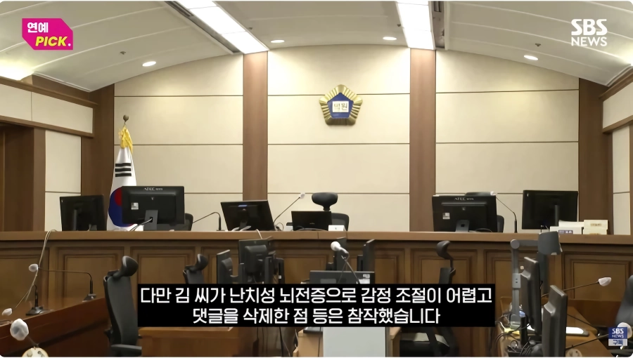 아이유 악플러 징역형