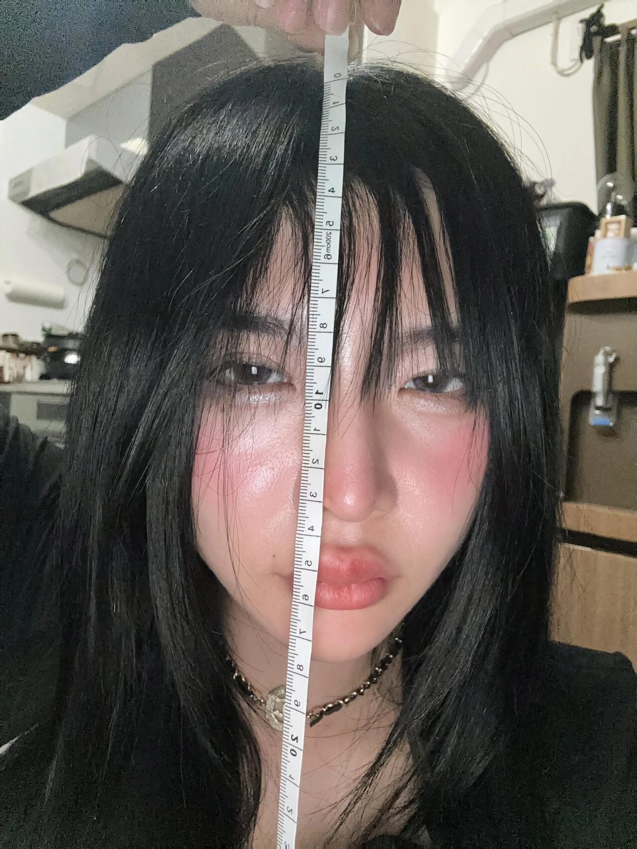 ㅈㅈ 사이즈 측정이 아니라고 해명중