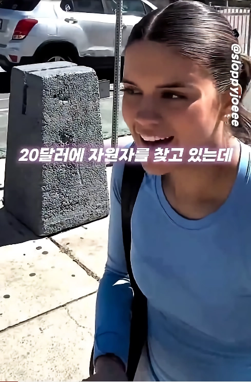 ㅇㅎ)20달러에 얼굴에 크림파이 가능한가요???