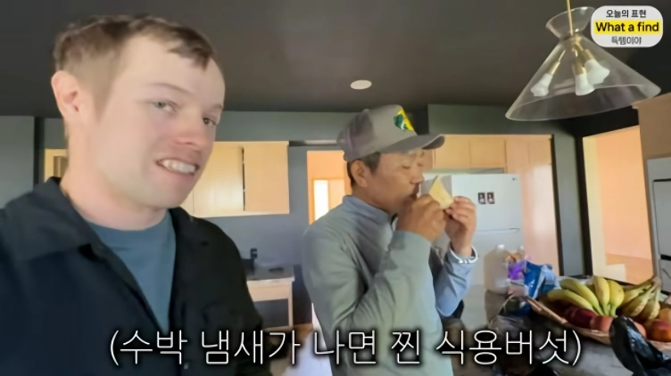올리버샘네 진도개들 근황 jpg