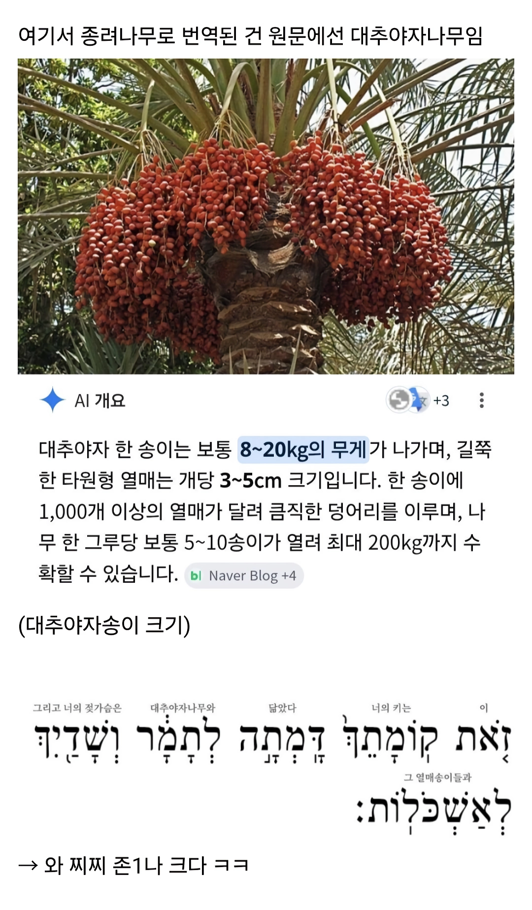 지혜의 왕 솔로몬 여성 취향