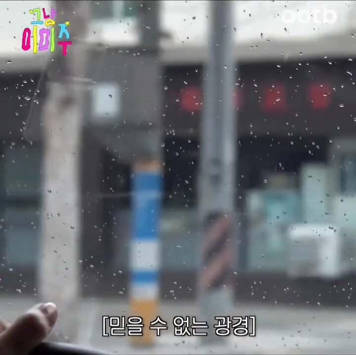 손세차 맡긴날 다음날특